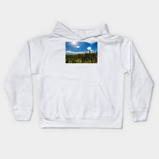 Bright Sun and Forest Kids Hoodie